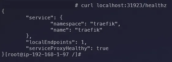 JSON output from the command "curl localhost:31923/healthz" executed on one of the Kubernetes Nodes.